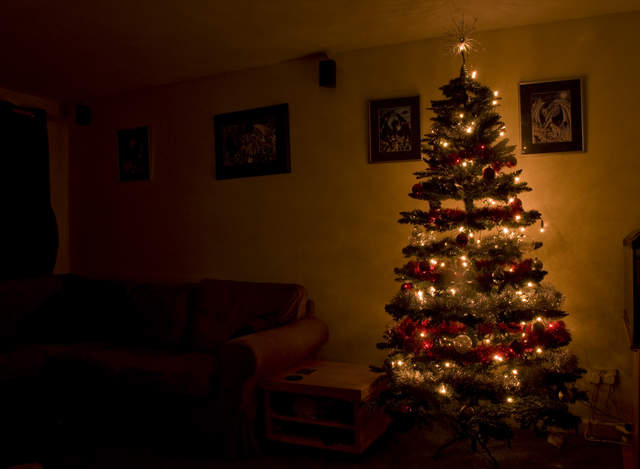 Guildford Christmas Tree