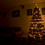 Guildford Christmas Tree
