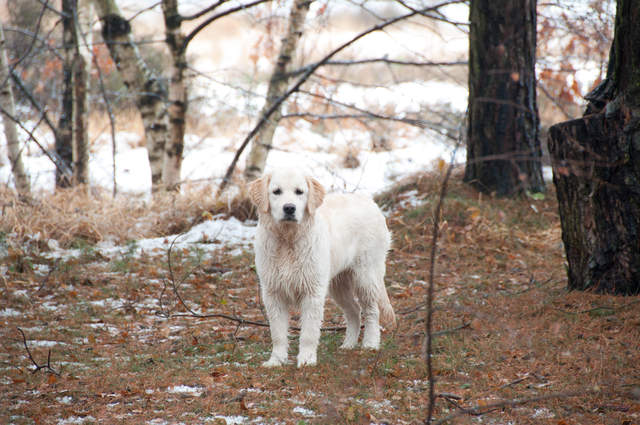 DSC_0180.jpg