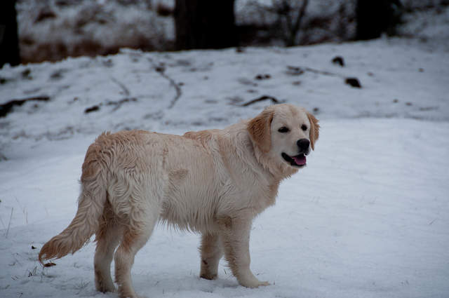 DSC_0165.jpg