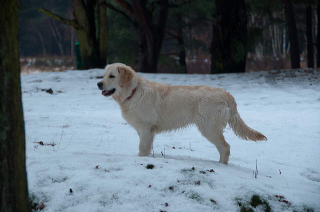 DSC_0167.jpg