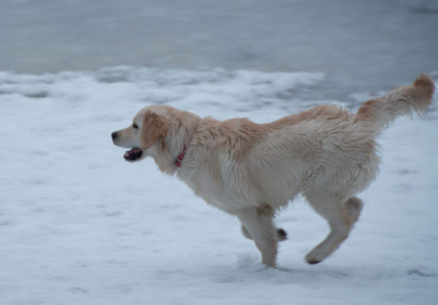 DSC_0169.jpg