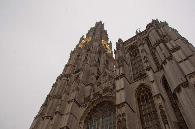 DSC_0136.jpg