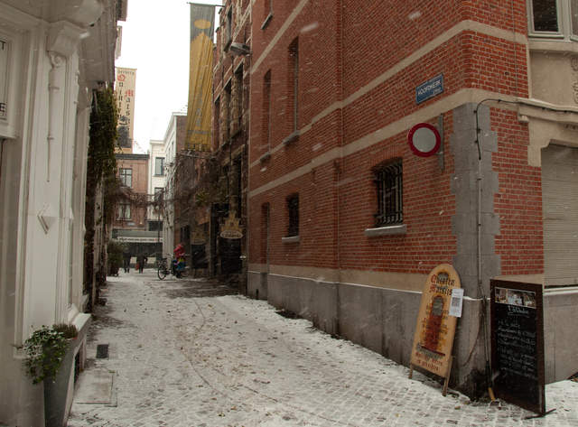 DSC_0147.jpg