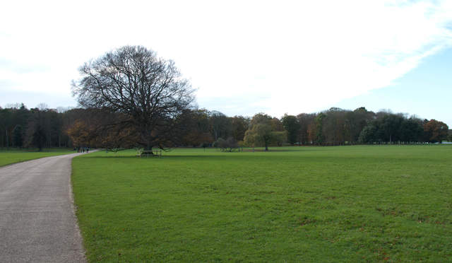 DSC_0074.jpg