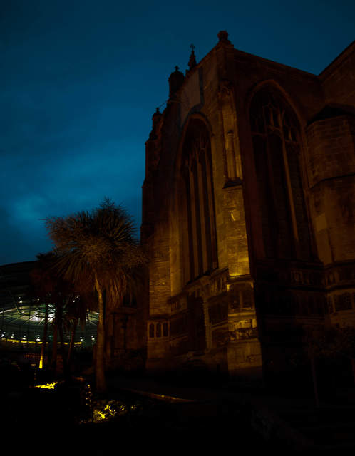 DSC_0114.jpg
