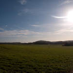 Farthing Copse