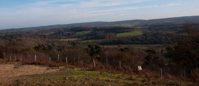 View from St Martha's Hill