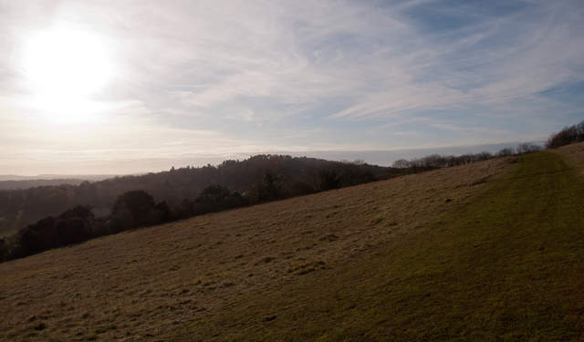 Newlands Corner