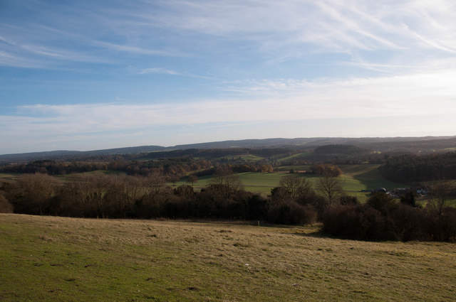 Newlands Corner
