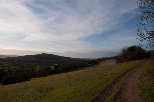 Newlands Corner