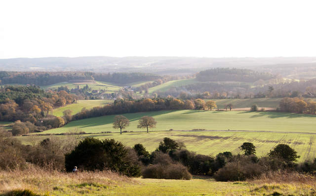 Newlands Corner