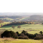 Newlands Corner