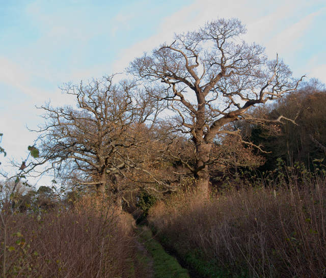 Heading towards Albury