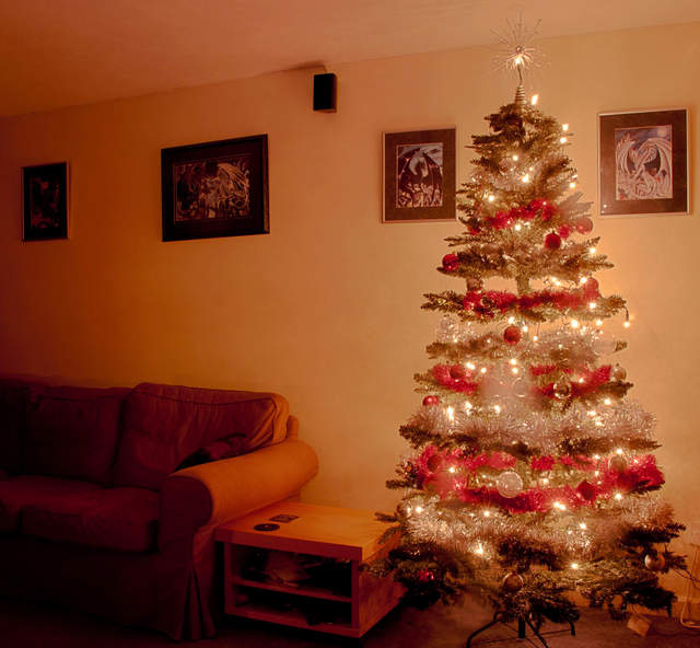 Guildford Christmas Tree