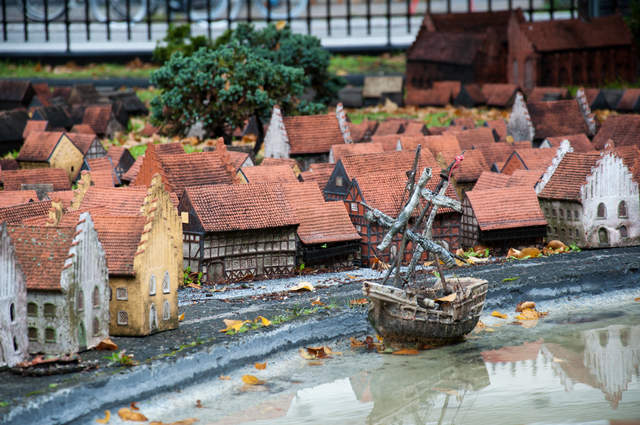 DSC_0800.jpg