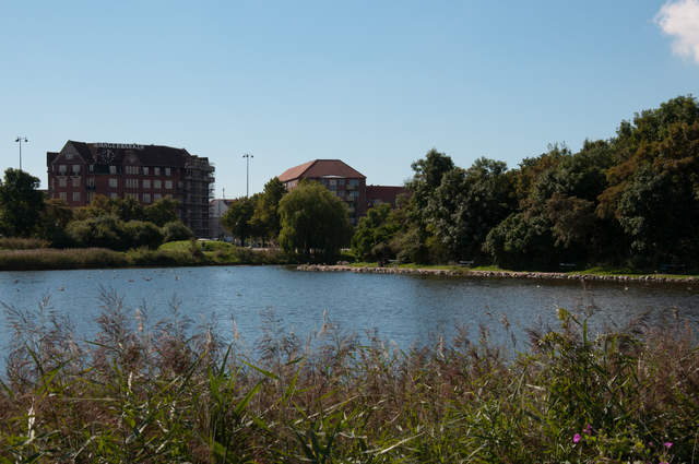 DSC_0152.jpg