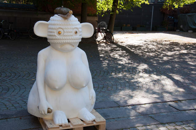 DSC_0165.jpg