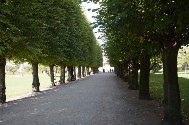DSC_0181.jpg
