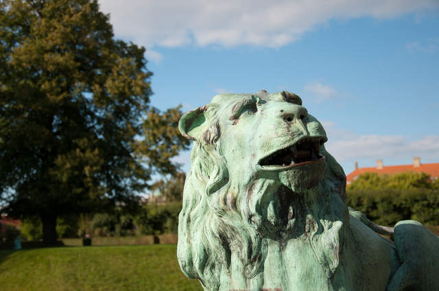 DSC_0198.jpg