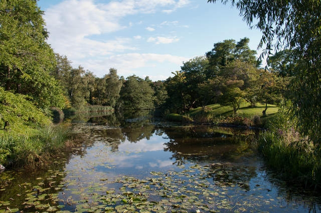 DSC_0204.jpg