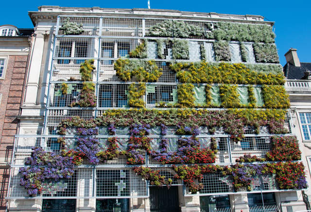 Europe in Bloom, Nyhavn
