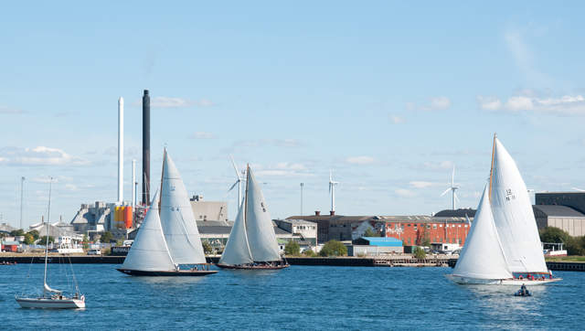DSC_0037.jpg