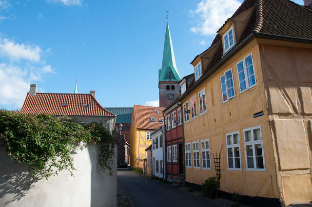 DSC_0315.jpg