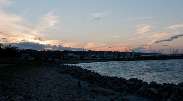 DSC_0336.jpg