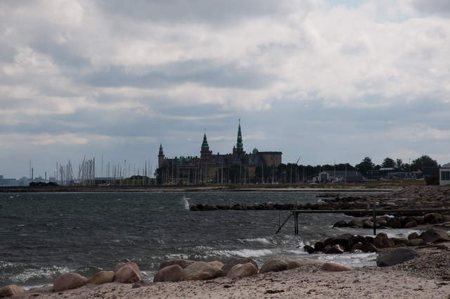 DSC_0224.jpg