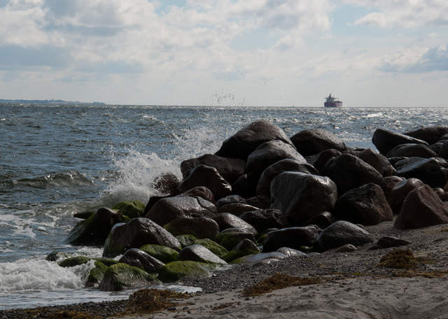 DSC_0293.jpg
