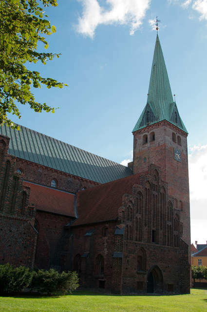 DSC_0303.jpg