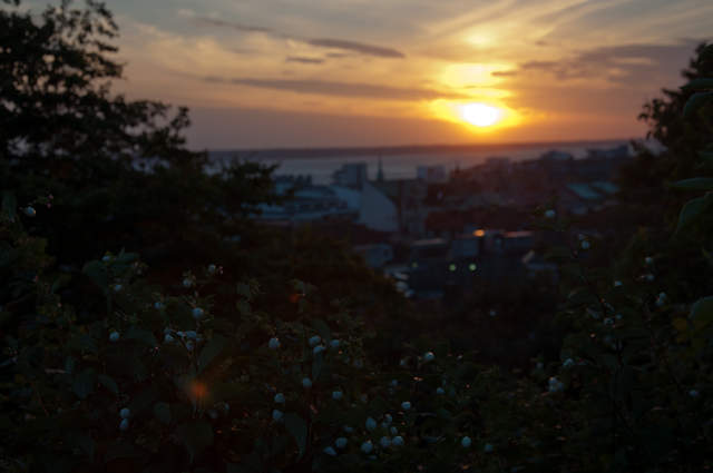DSC_0506.jpg