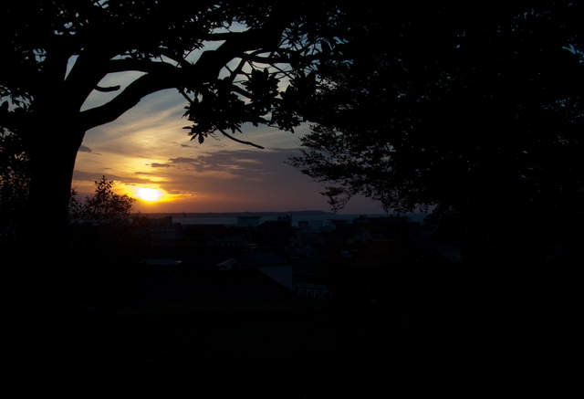 DSC_0508.jpg