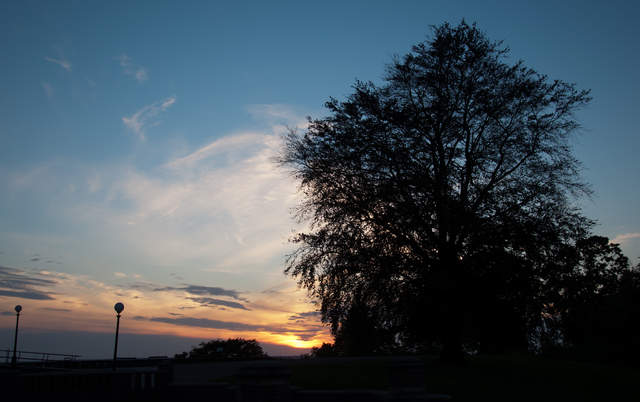 DSC_0516.jpg