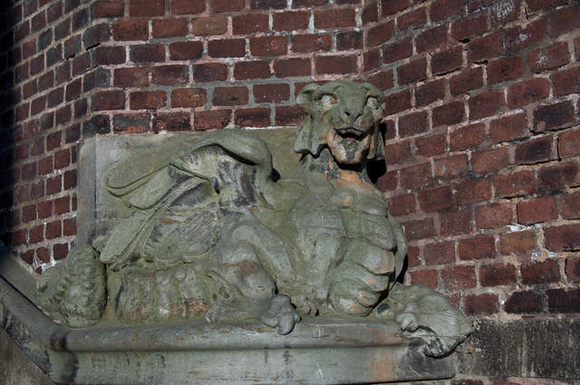 DSC_0460.jpg