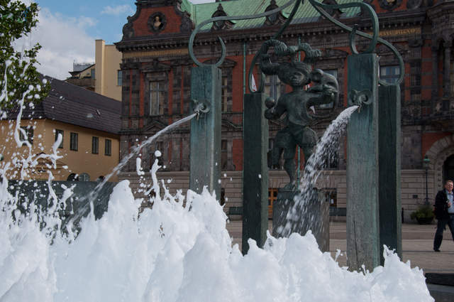 DSC_0539.jpg