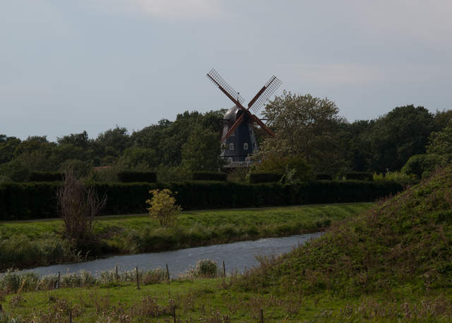 DSC_0551.jpg