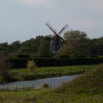 DSC_0551.jpg