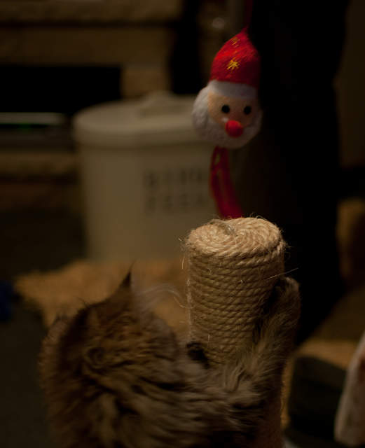 DSC_0137.jpg
