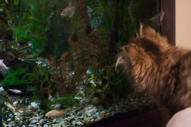 DSC_0290.jpg