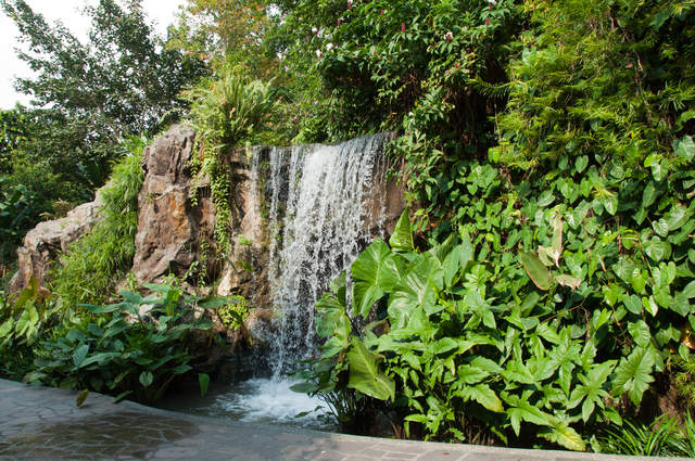 DSC_0030.jpg