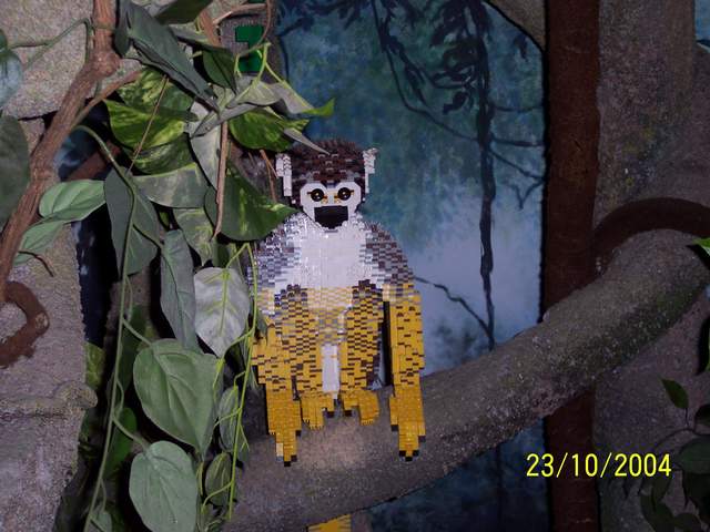 100_0341.JPG