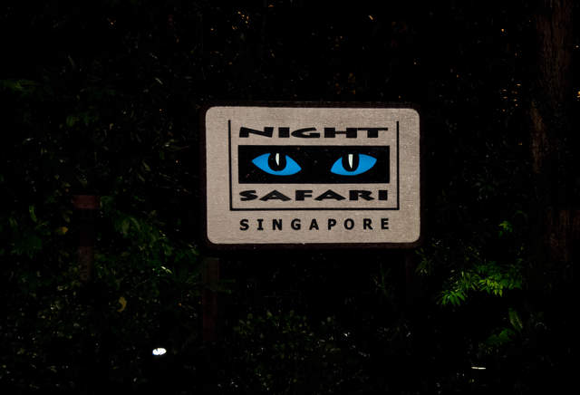 DSC_0209.jpg