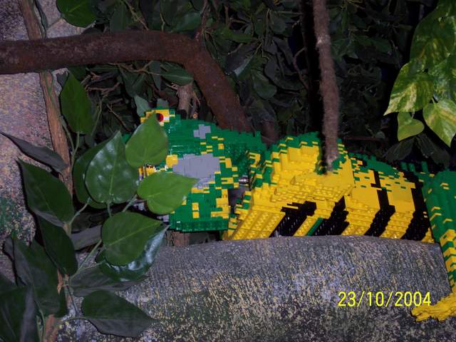 100_0342.JPG
