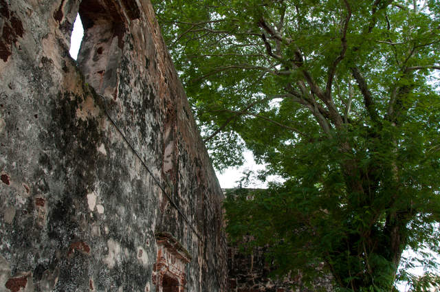 DSC_0222.jpg