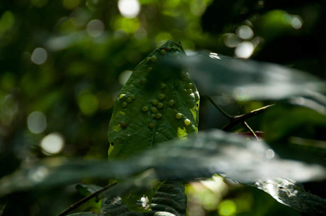 DSC_0154.jpg