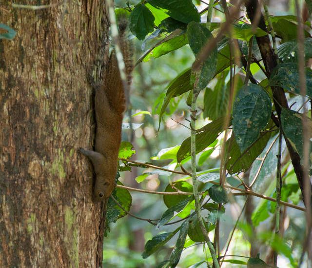 DSC_0168.jpg