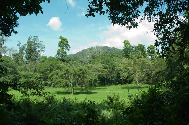 DSC_0182.jpg