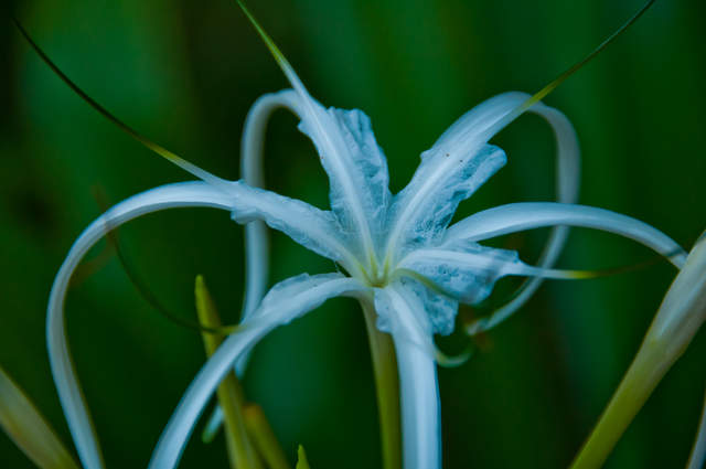 DSC_0210.jpg